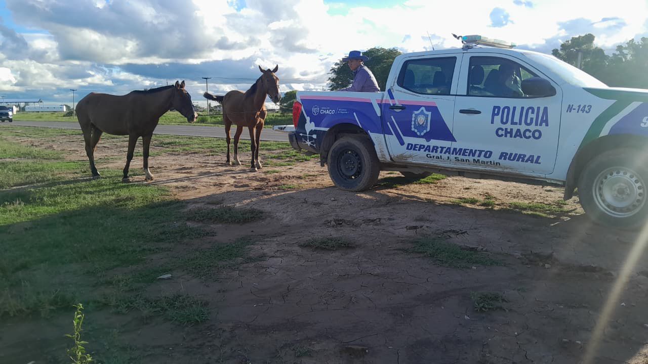 Imagen adicional