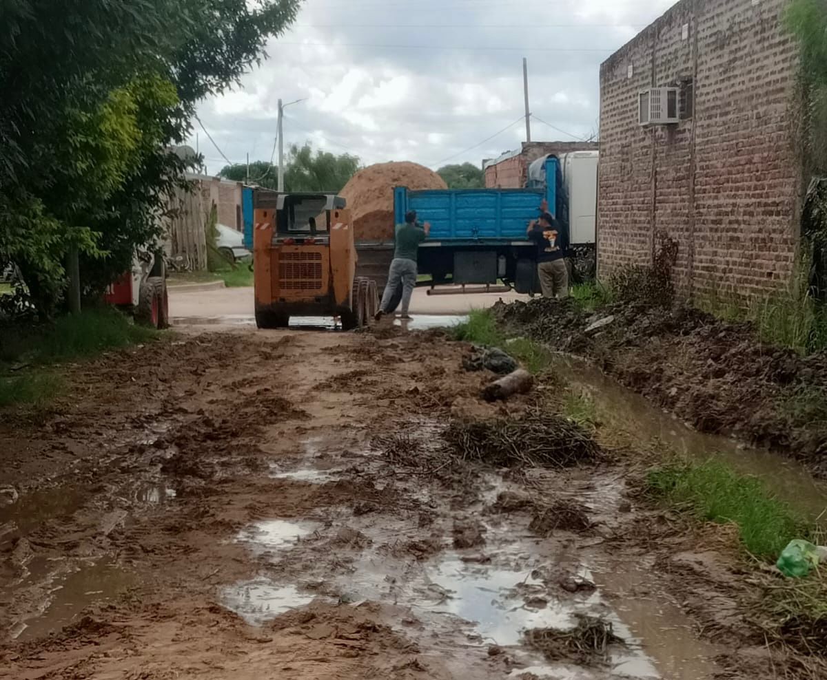 Imagen adicional