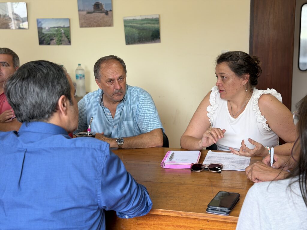 Imagen adicional