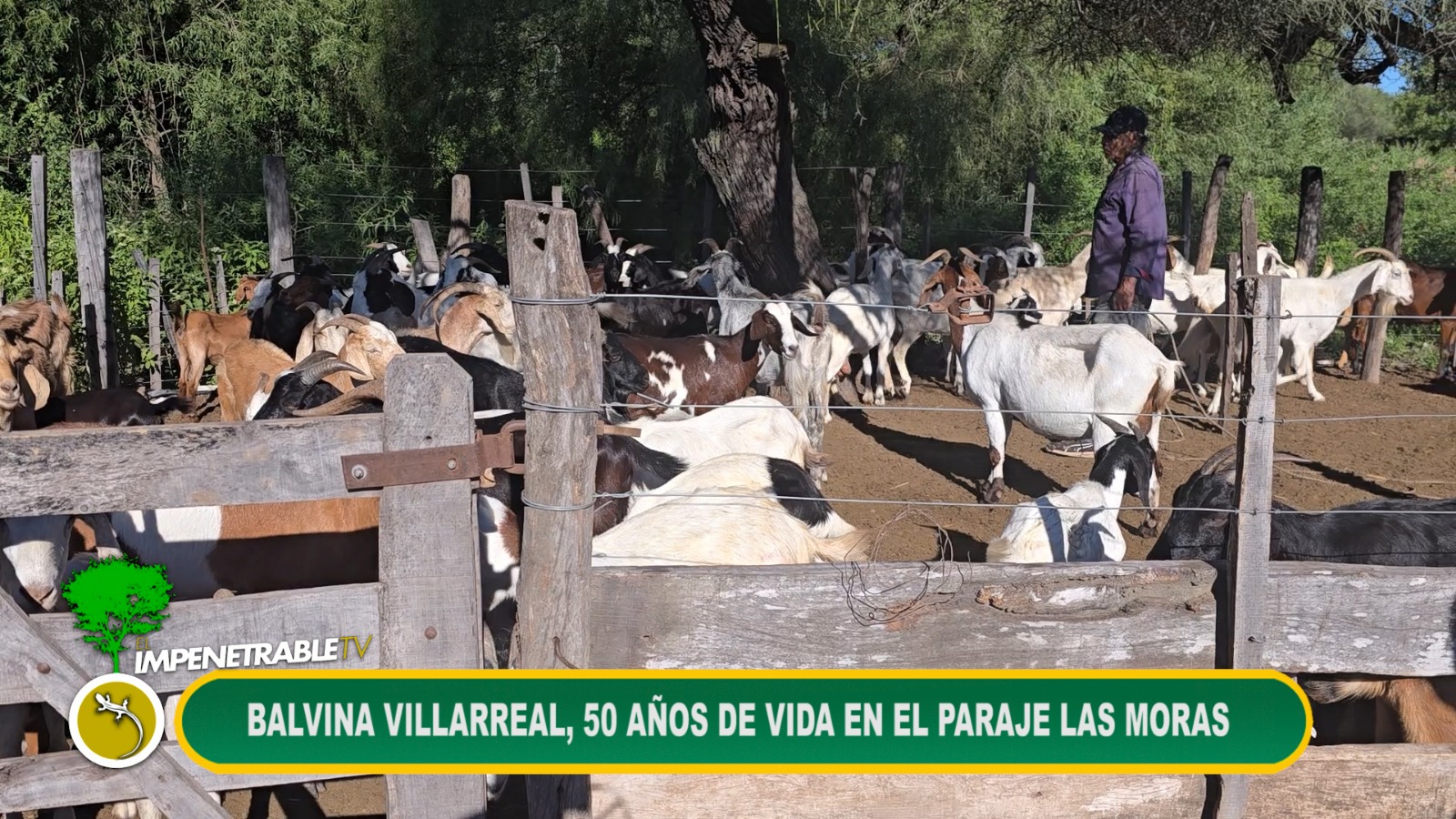 Imagen adicional