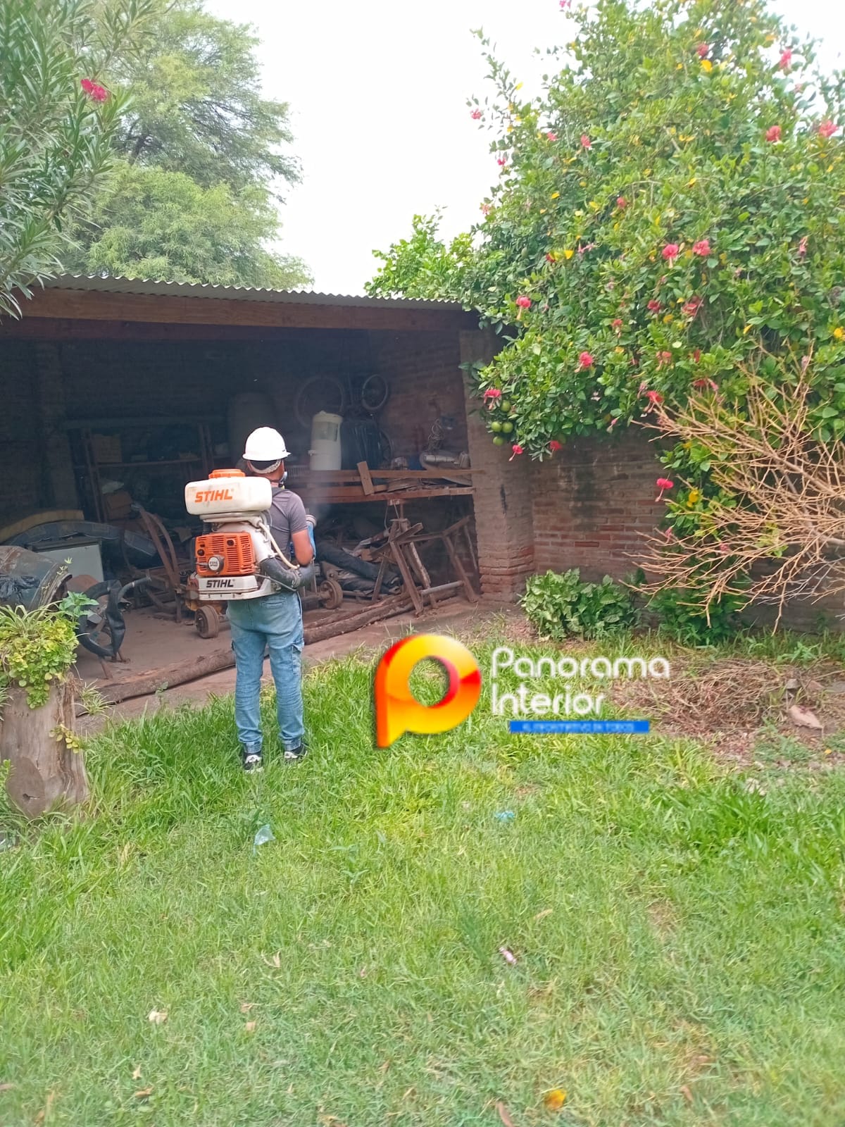 Imagen adicional