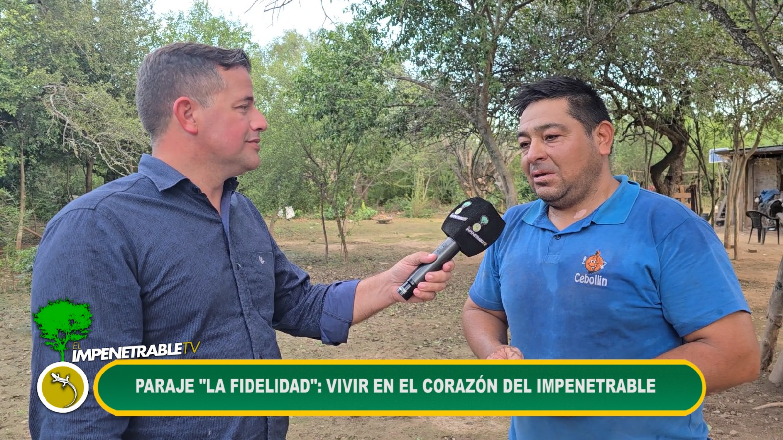 Imagen adicional
