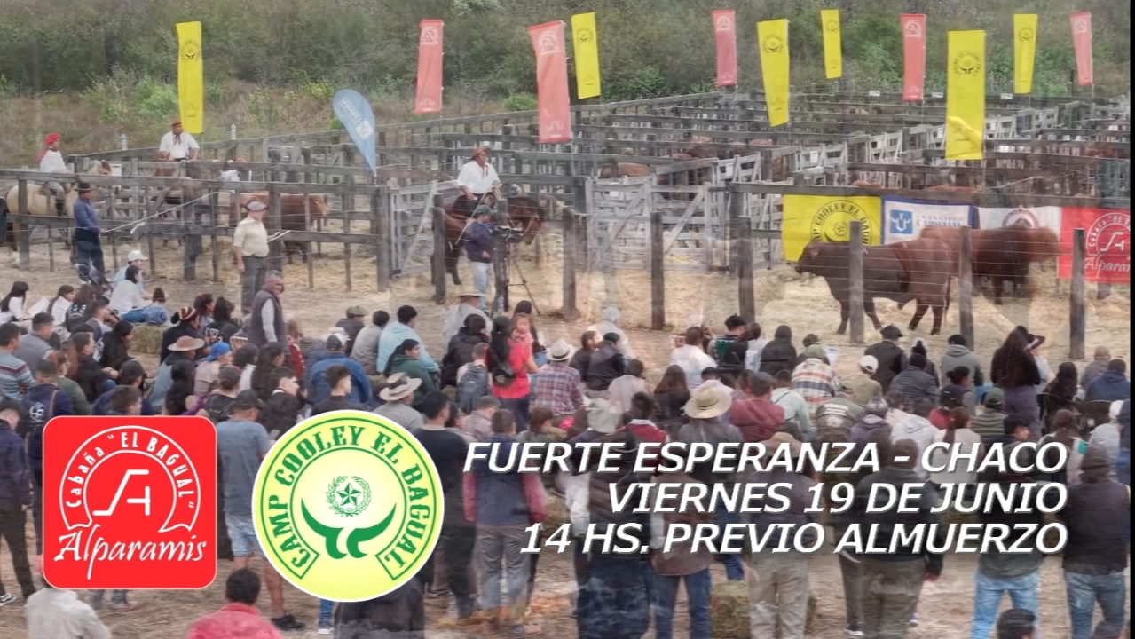 Imagen adicional