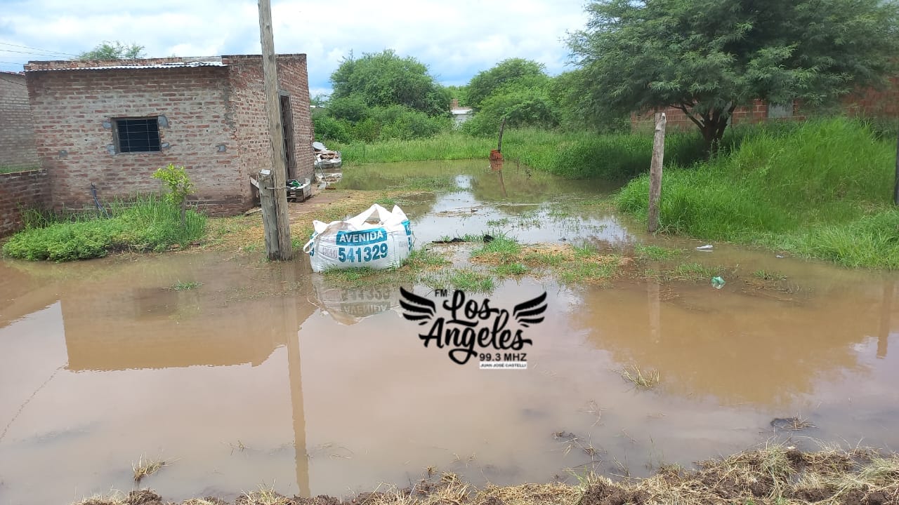 Imagen adicional