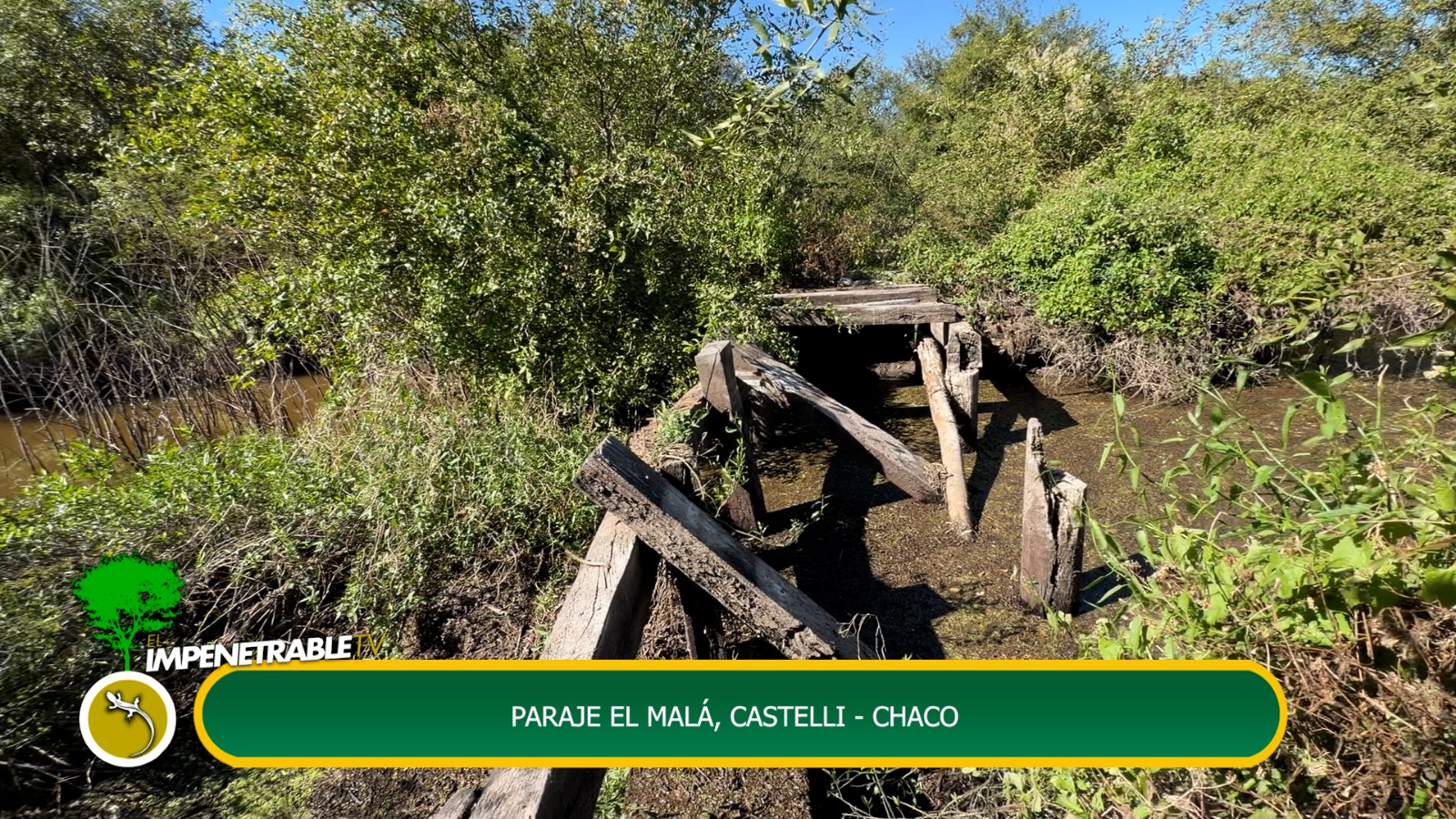 Imagen adicional