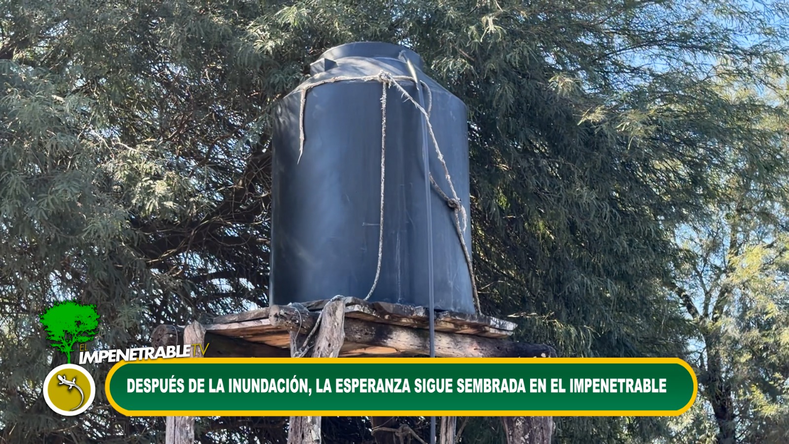 Imagen adicional
