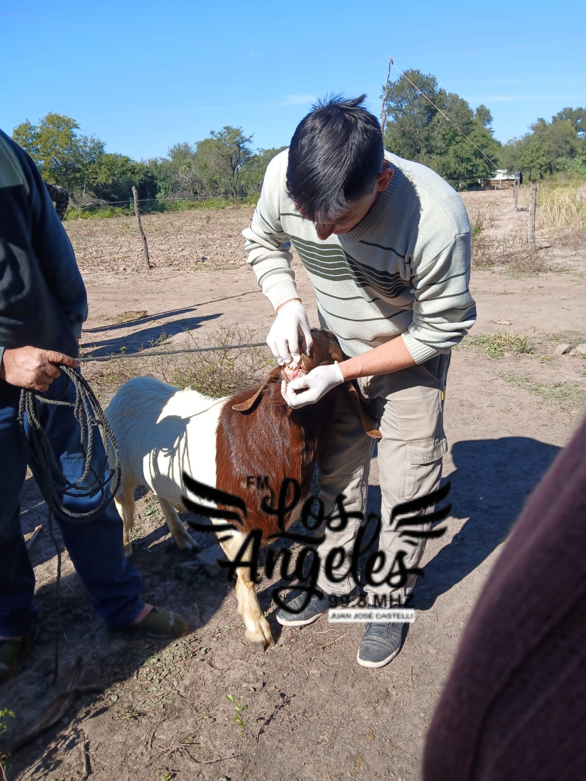 Imagen adicional