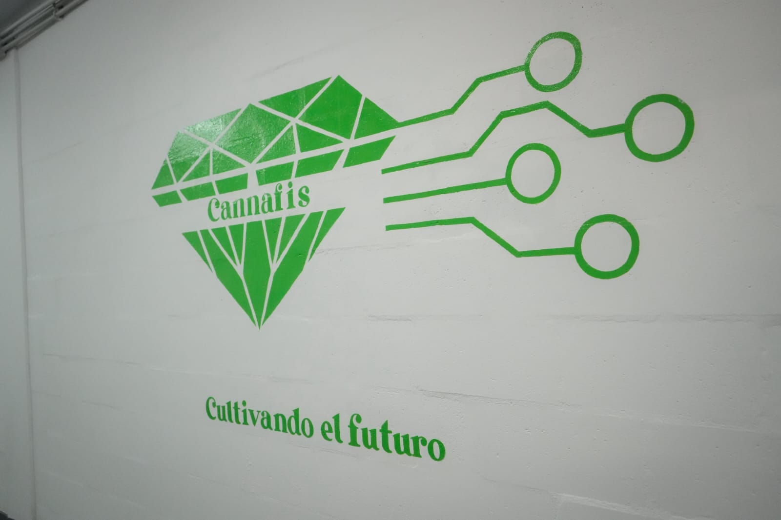 Imagen adicional