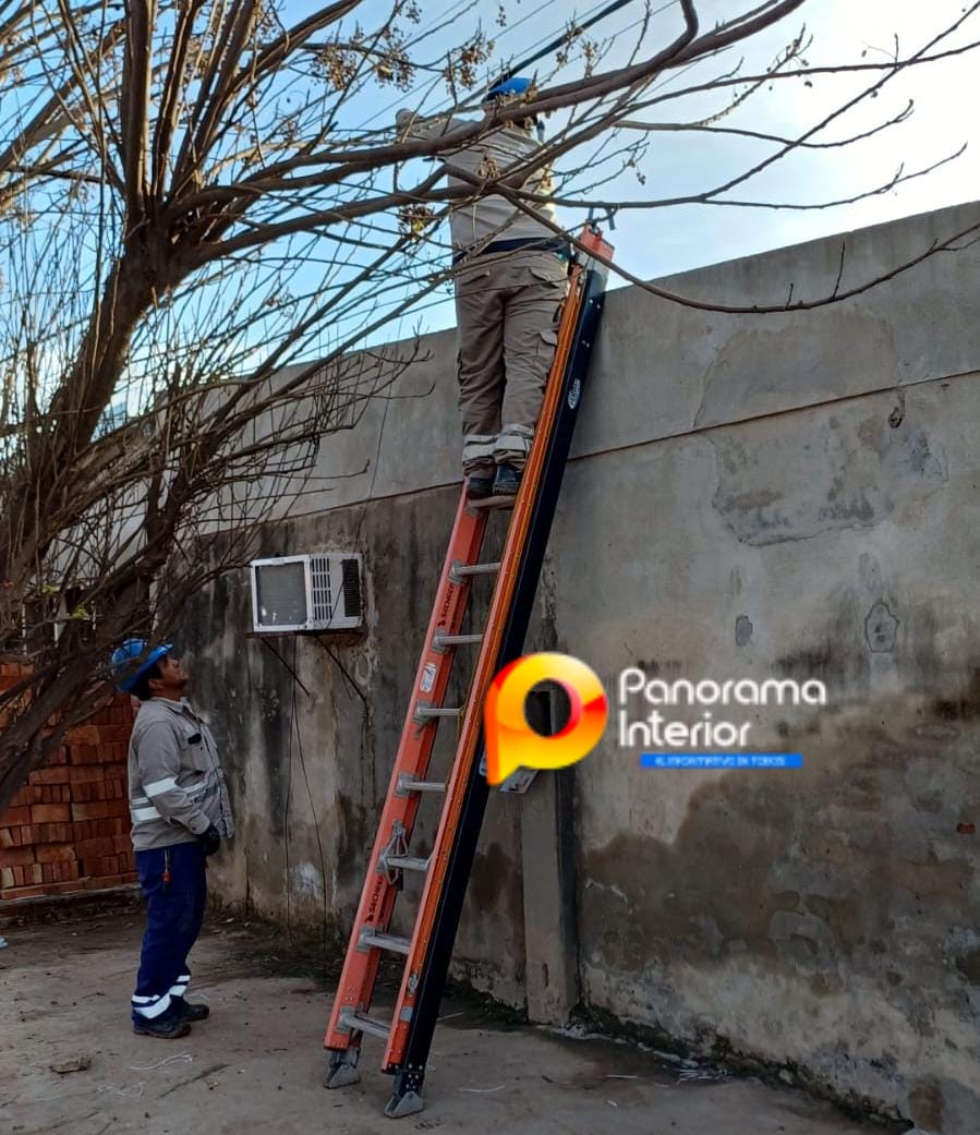 Imagen adicional