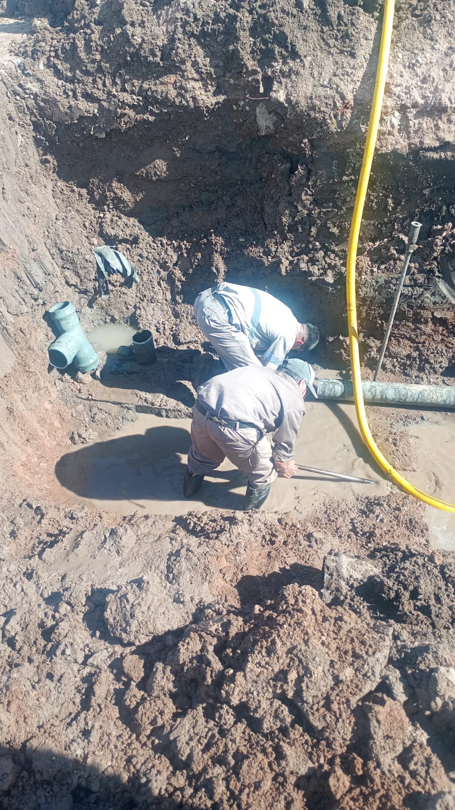 Imagen adicional