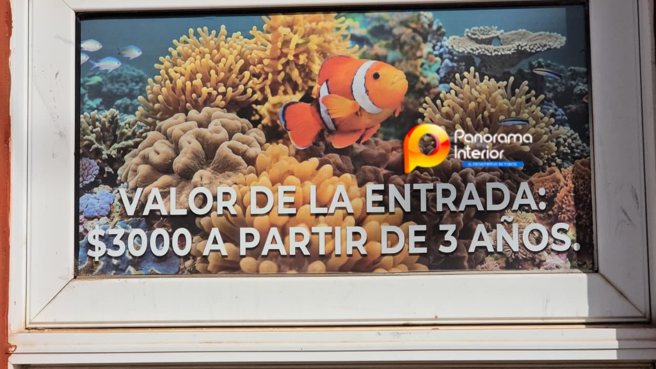 Imagen adicional