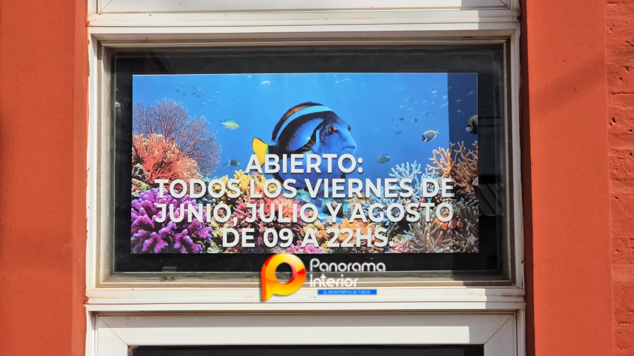 Imagen adicional