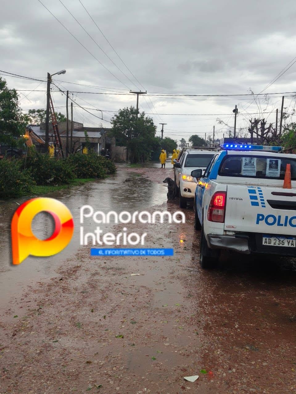 Imagen adicional