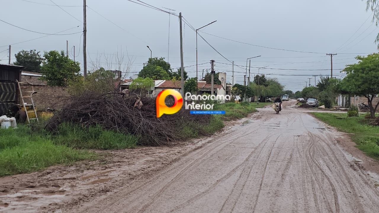 Imagen adicional