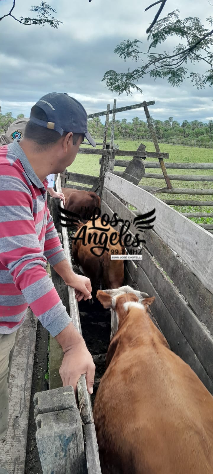 Imagen adicional