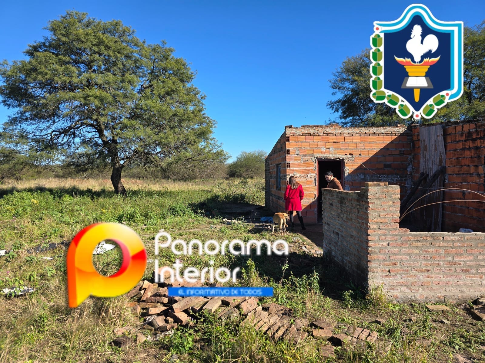 Imagen adicional
