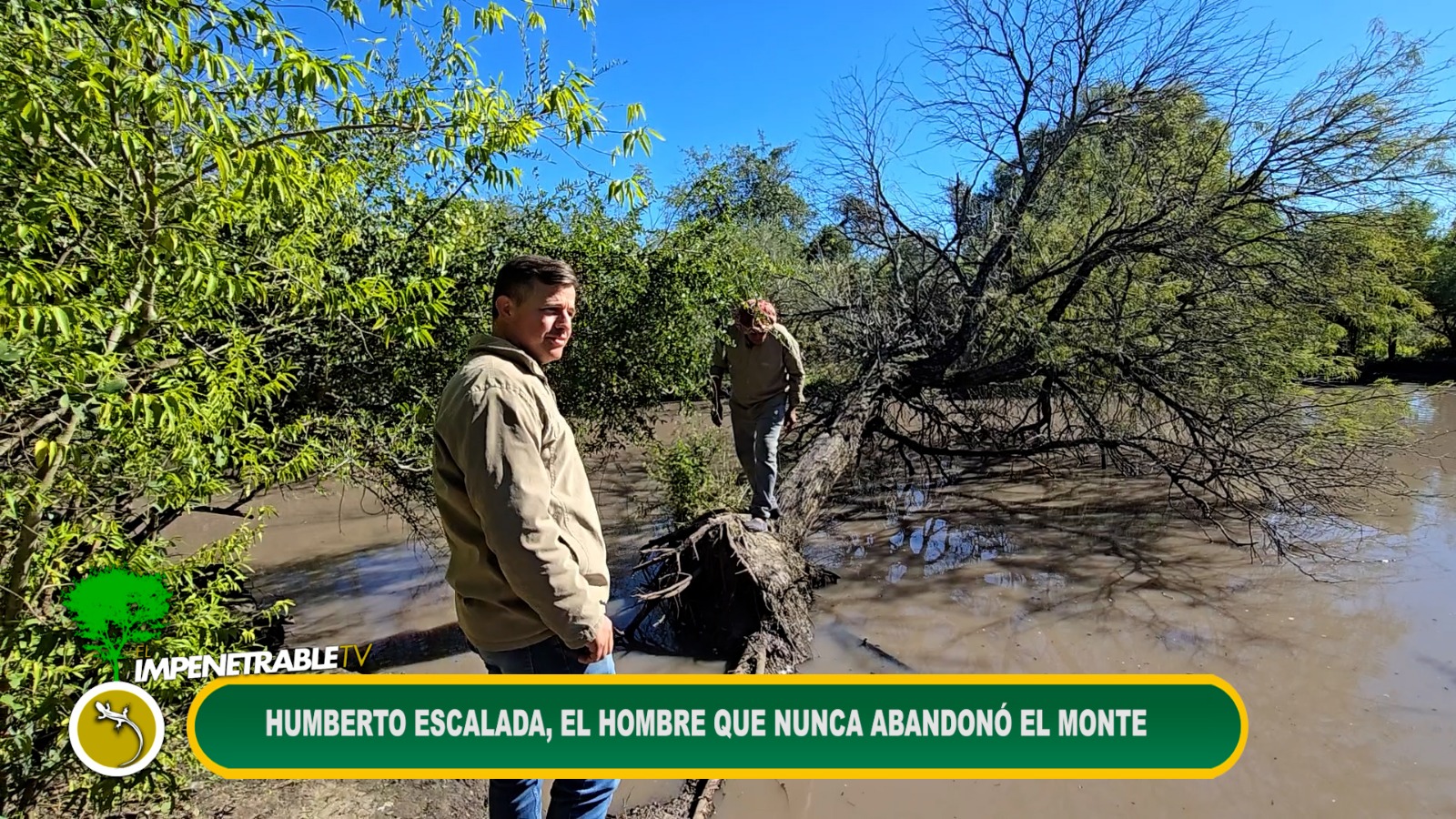 Imagen adicional