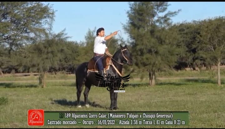 Imagen adicional