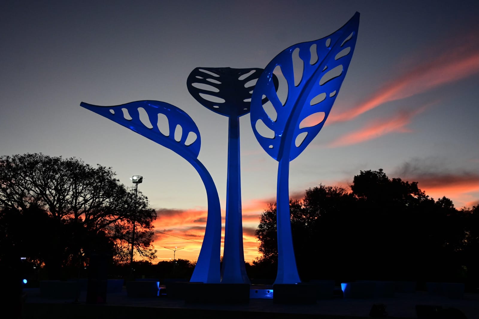 Imagen adicional