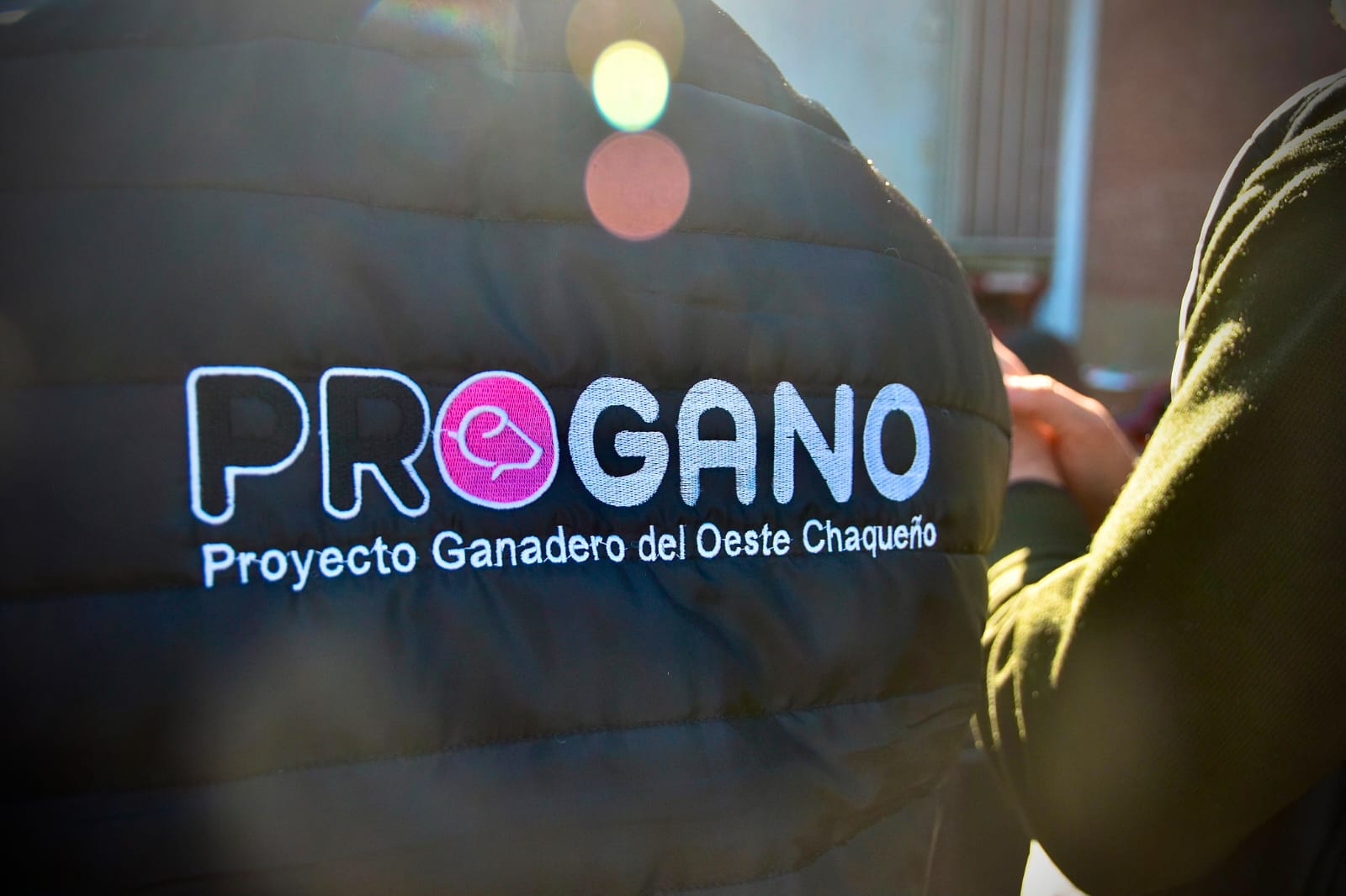 Imagen adicional