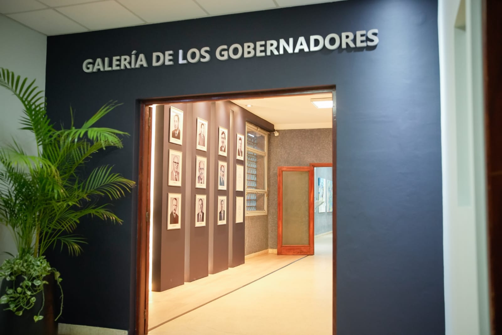 Imagen adicional