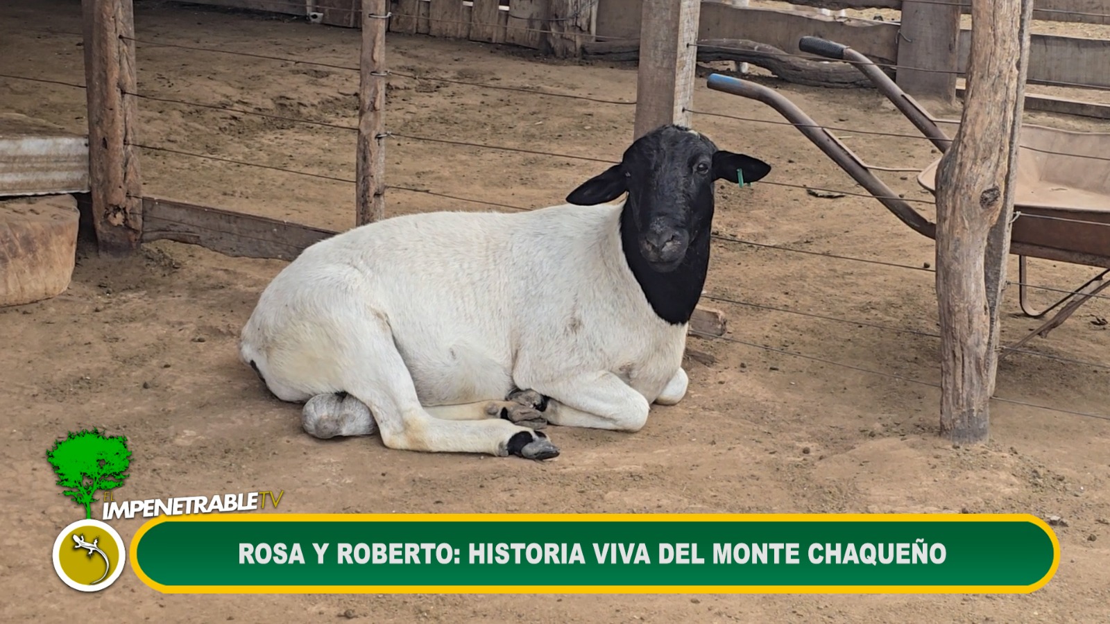 Imagen adicional