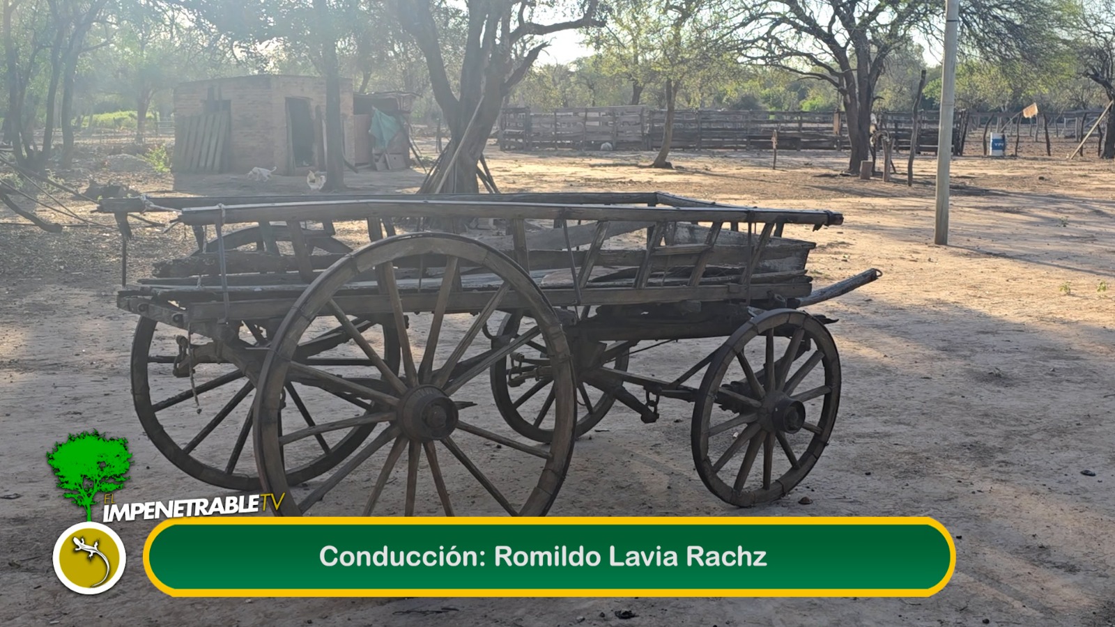 Imagen adicional