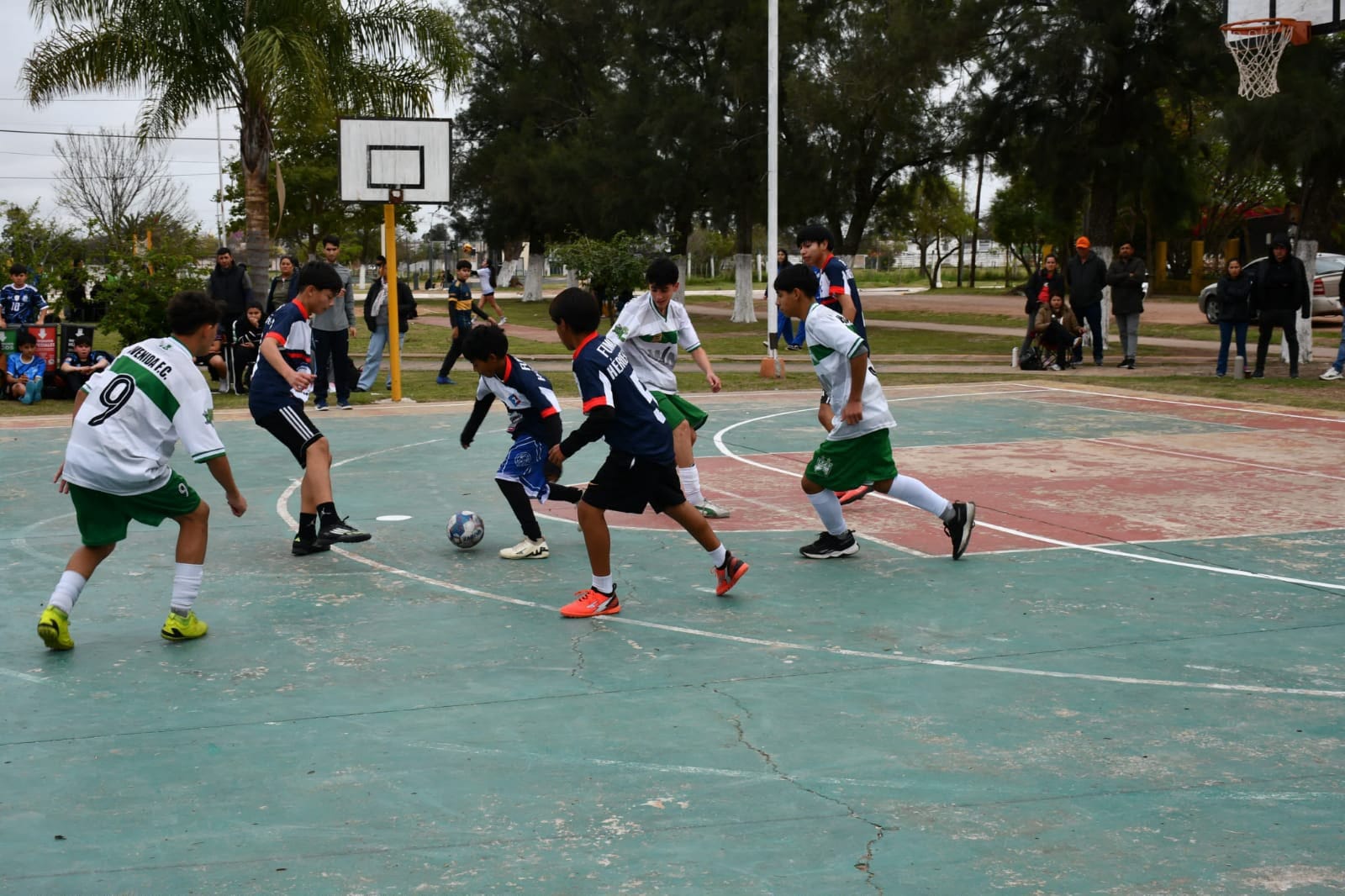 Imagen adicional