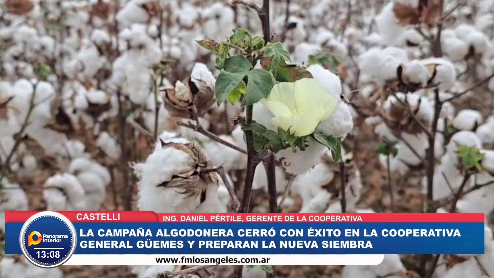 Imagen adicional