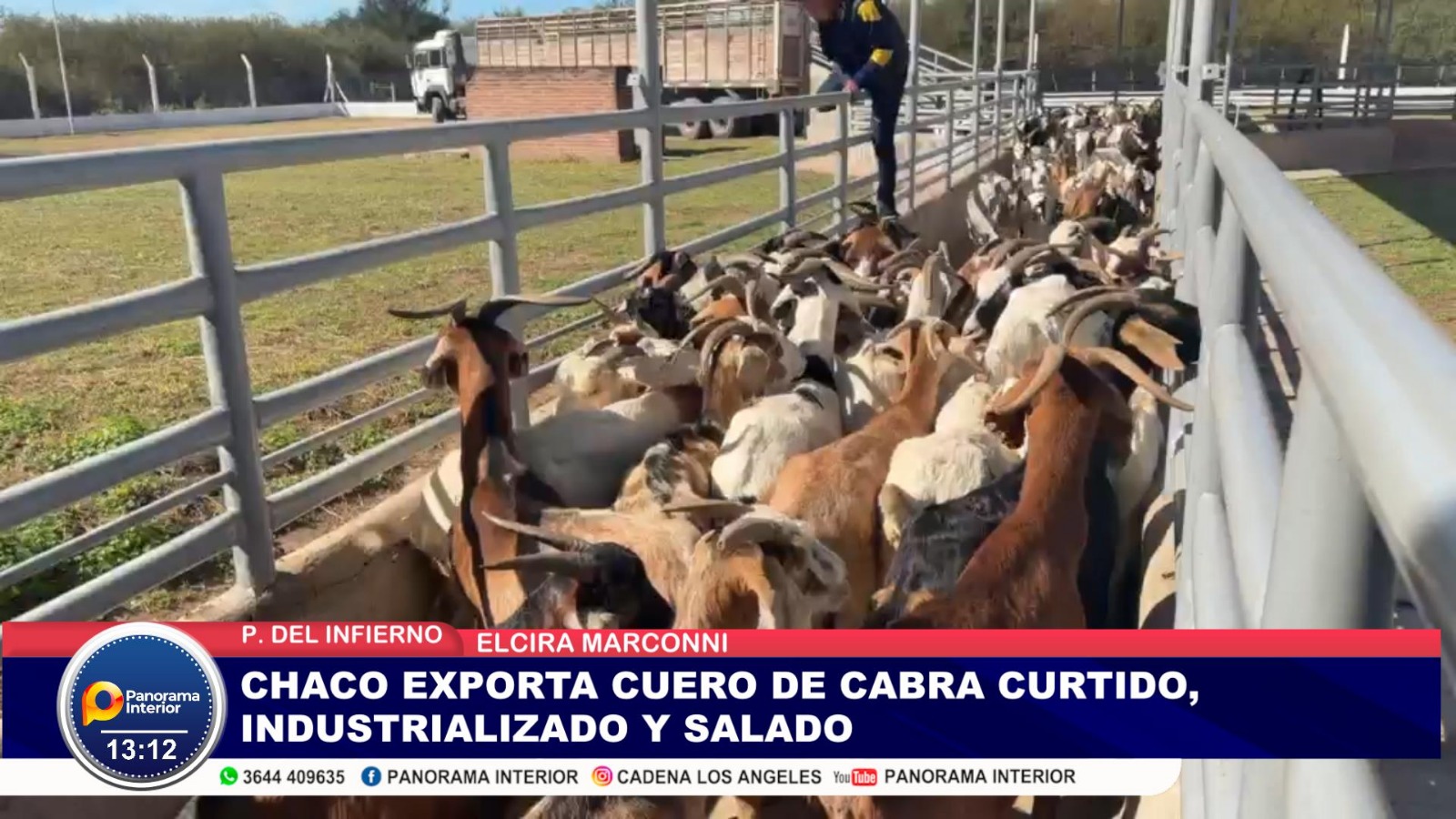 Imagen adicional