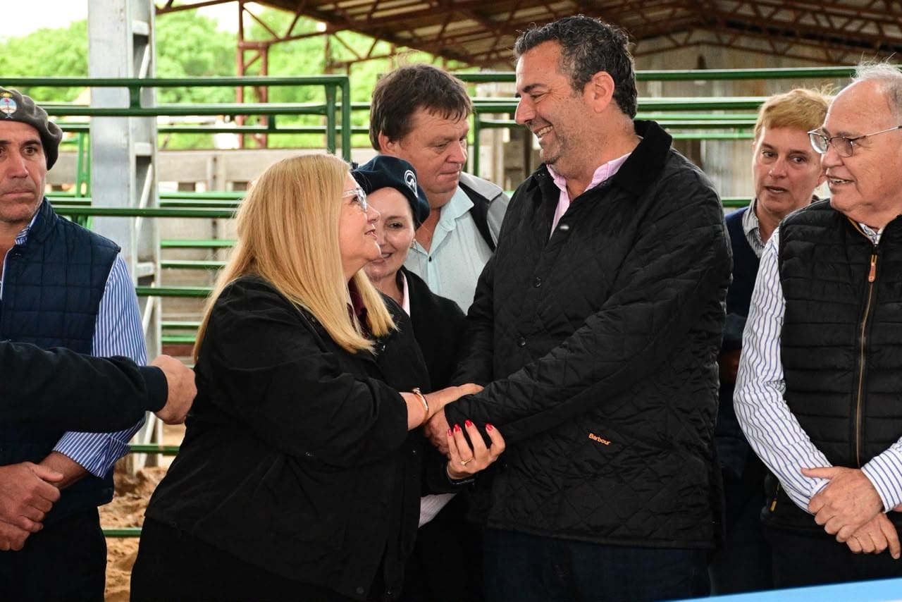 Imagen adicional