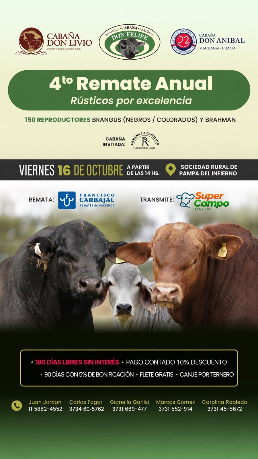 Imagen adicional