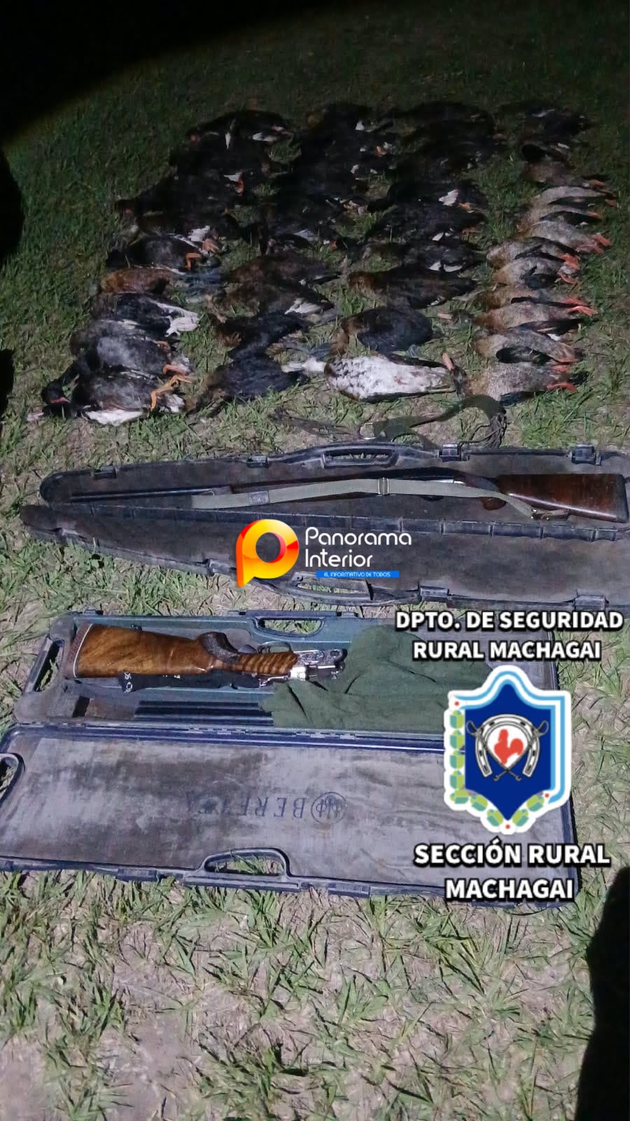 Imagen adicional