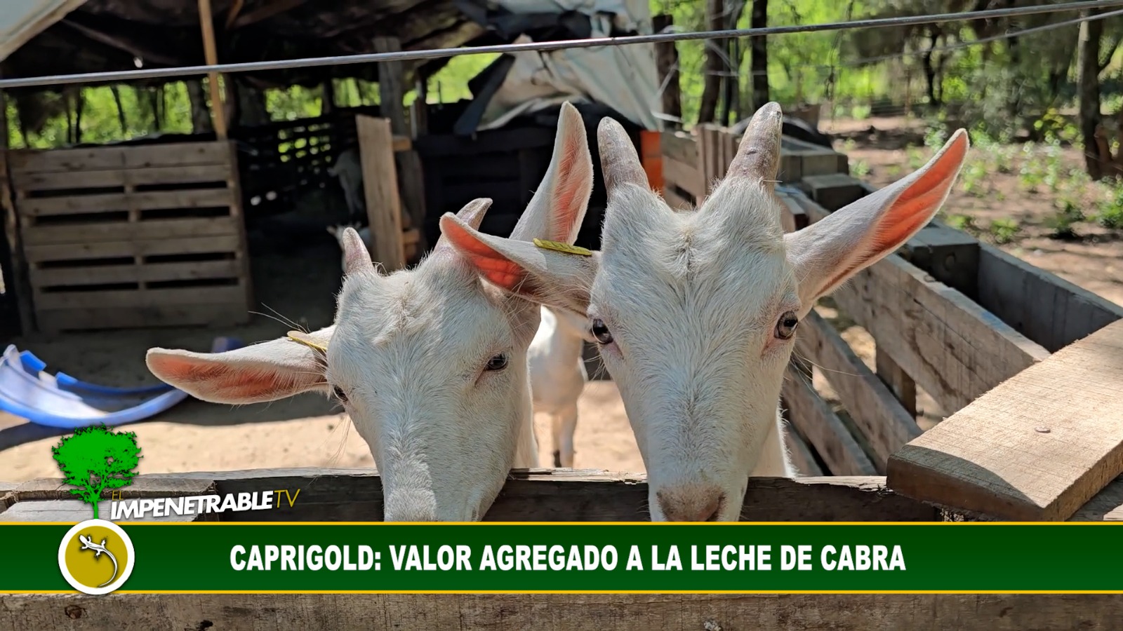 Imagen adicional
